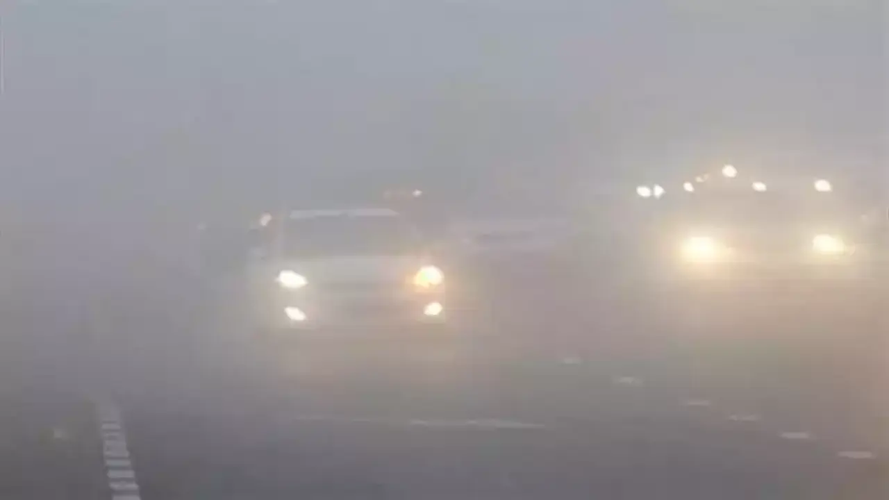 تحذير من الأرصاد بشأن شبورة كثيفة تعيق الرؤية الأفقية على عدة طرق